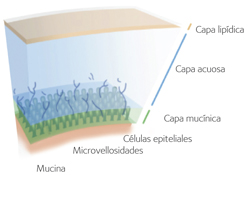 Avaira Vitality, una experiencia de uso más cómoda en lentes de contacto