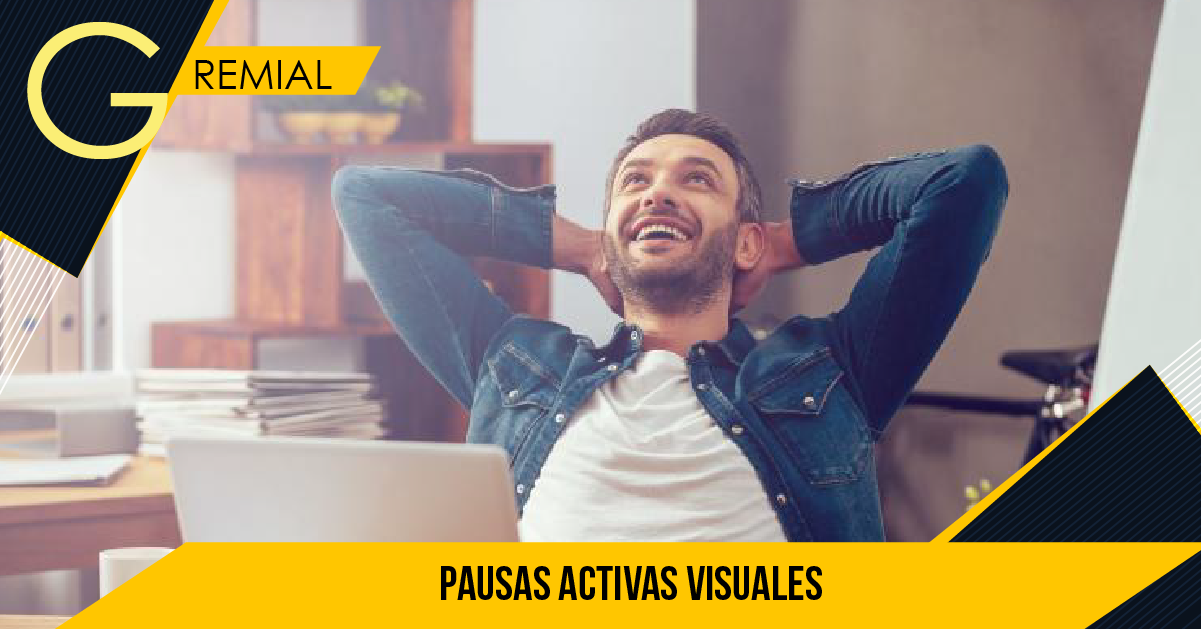 PAUSAS VISUALES ACTIVAS