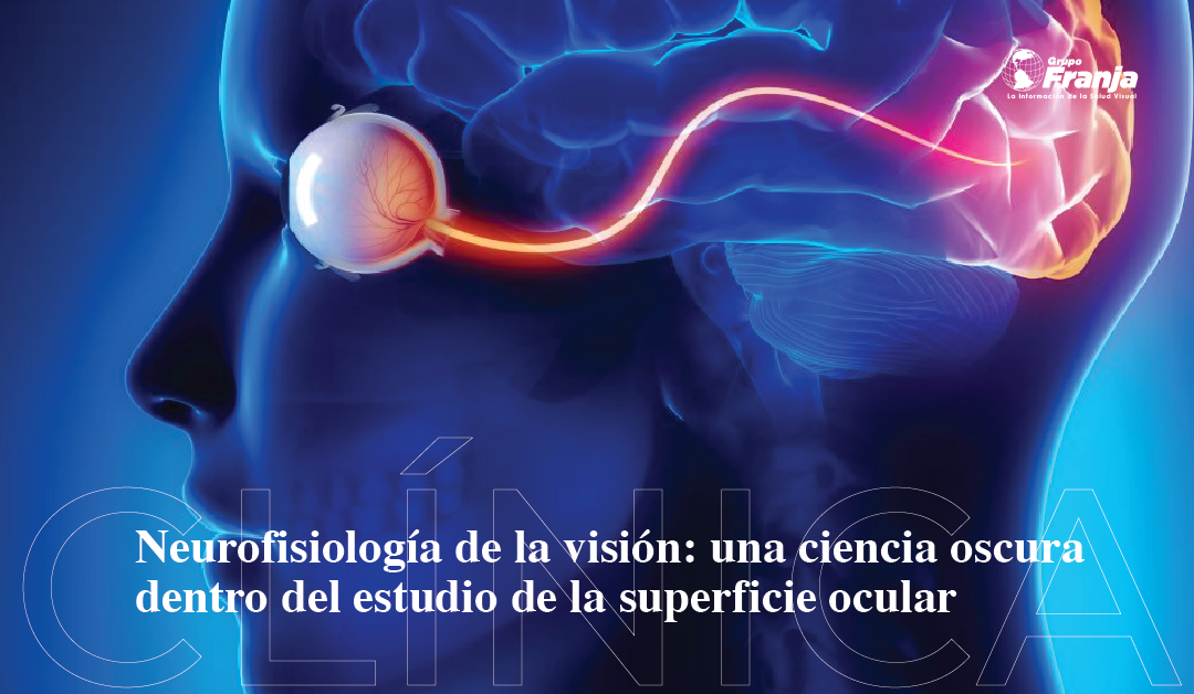 Neurofisiología de la visión: una ciencia oscura dentro del estudio de la superficie ocular