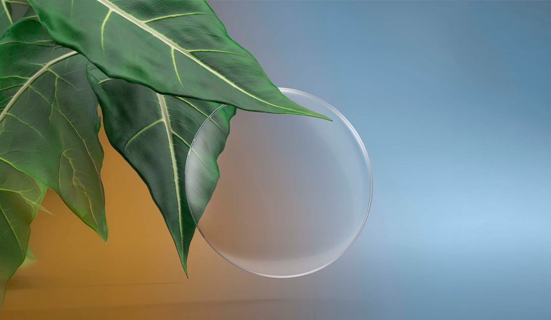Green tropical leaves drape over a clear glass orb against an orange-to-blue gradient background.
