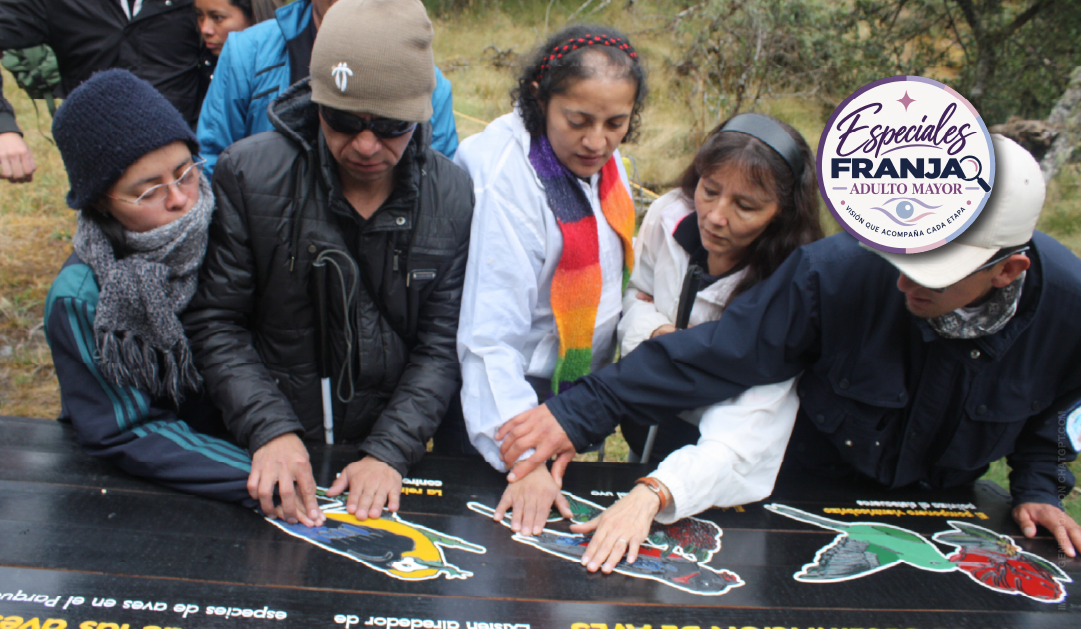 Group of diverse adults gathered around a large interactive display on a table, touching or arranging cutouts; circular logo for 'Especiales FranJa Adulto Mayor' in the corner.